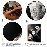 Black White Hummingbird Energetic - Hummingbird Wall Decor
