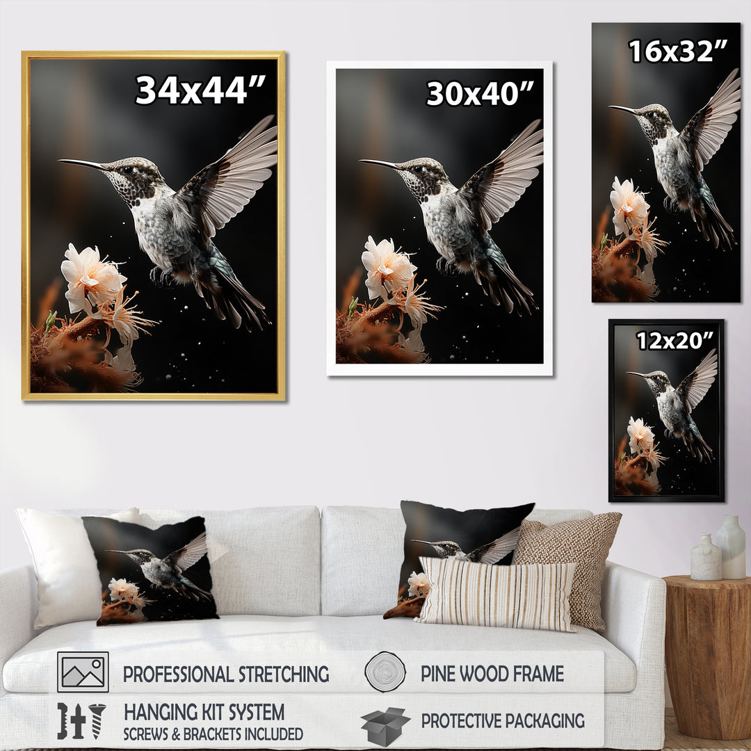 Black White Hummingbird Energetic - Hummingbird Wall Decor