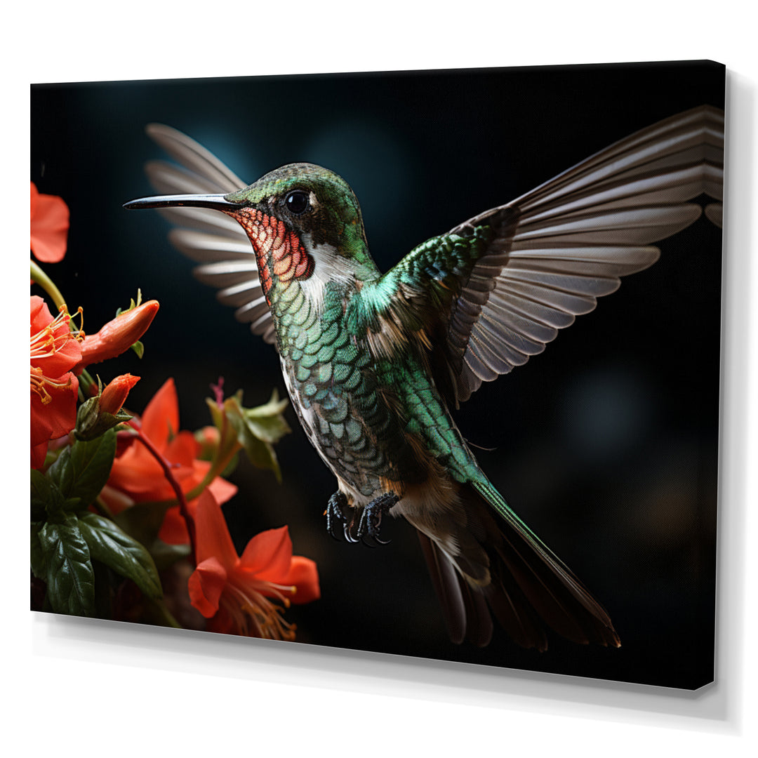 Teal Coral Hummingbird Portrait - Teal Hummingbird Wall Art