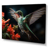 Teal Coral Hummingbird Portrait - Teal Hummingbird Wall Art