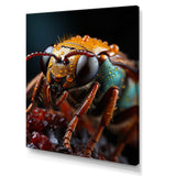 Insects Bugs Animal National - Insects & Bugs Home Decor Art