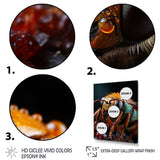 Insects Bugs Animal National - Insects & Bugs Home Decor Art