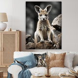 Kangaroo Bound - Kangaroo Home Decor Art