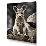 Kangaroo Bound - Kangaroo Home Decor Art