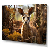 Kangaroo Portrait - Kangaroo Canvas Wall Art