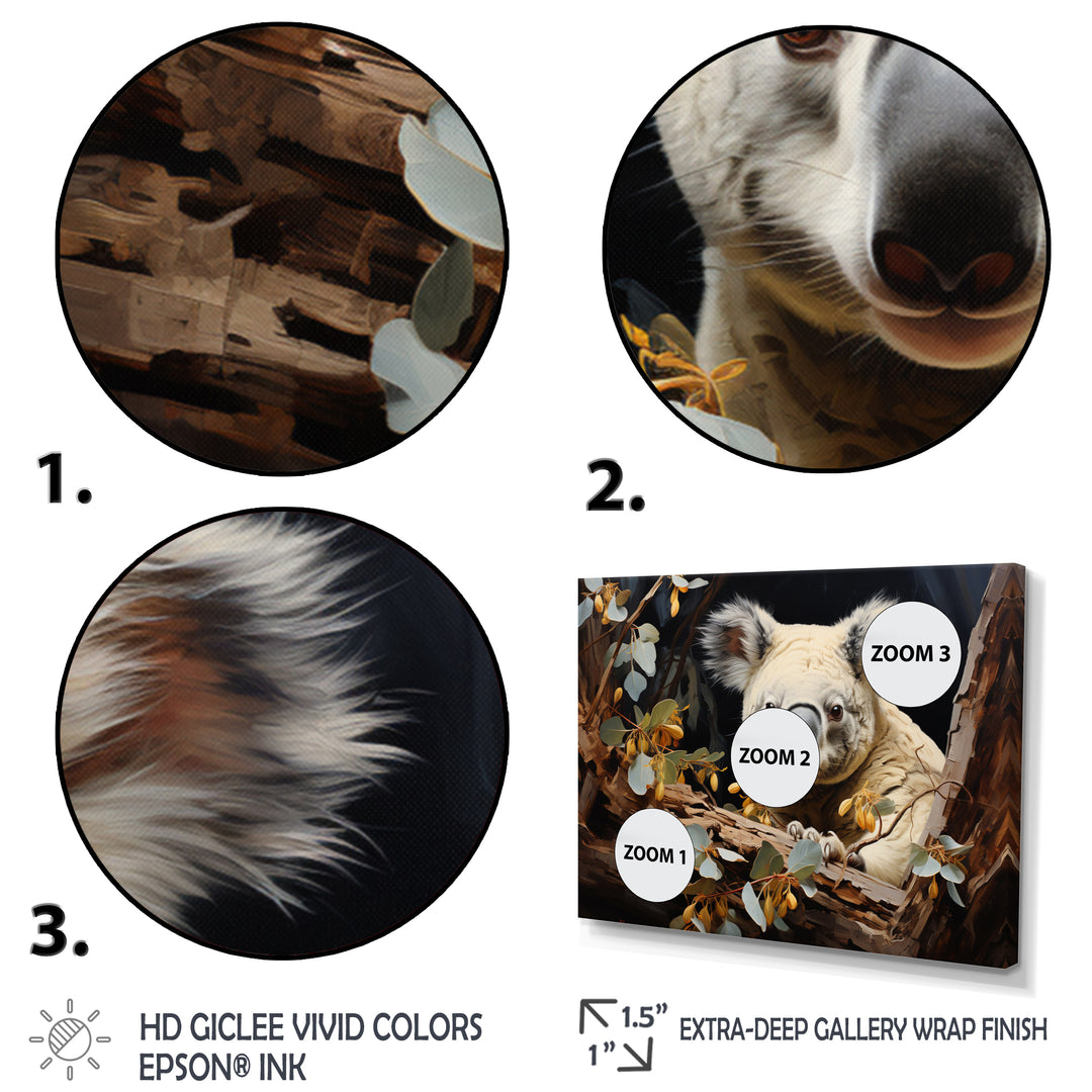 Koala Kudos - Koala Wall Decor