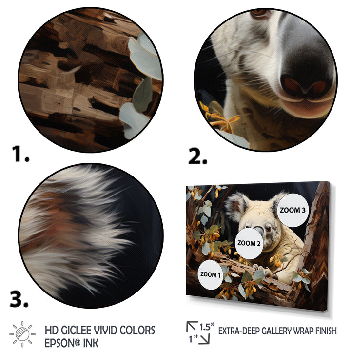 Koala Kudos - Koala Wall Decor