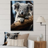 Koala Koalas Serenity - Koala Wall Art Prints