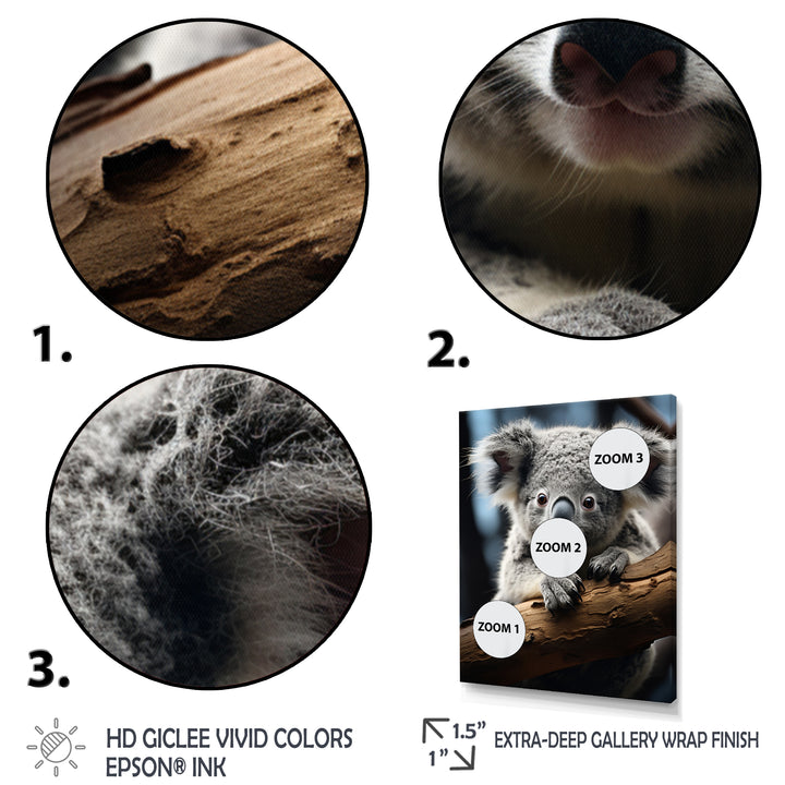 Koala Koalas Serenity - Koala Wall Art Prints
