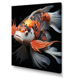 Orange Kois Fish Bold Contrasts - Koi's Fish Framed Canvas Art