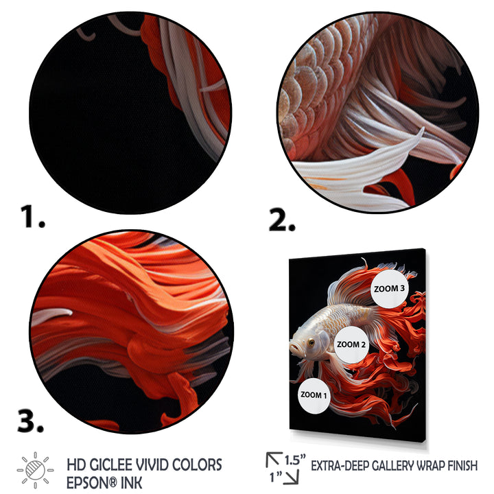 Coral Kois Fish Bold Contrasts - Koi&