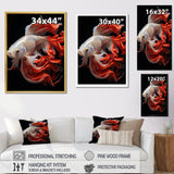 Coral Kois Fish Bold Contrasts - Koi's Fish Large Canvas Wall Art
