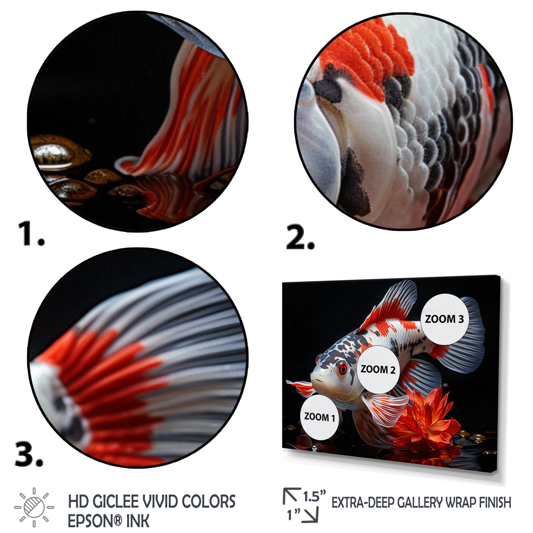 Coral Kois Fish Enigmatic Patterns - Koi&