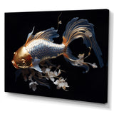 Gold Kois Fish Mysterious Shadows - Koi's Fish Canvas Wall Art