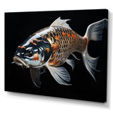 Gold Kois Fish Serene Reflections - Koi's Fish Wall Art Prints