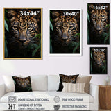 Leopard Silent Stalk I - Animals Canvas Wall Art