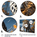 Leopard Sleek Leopard - Leopard Canvas Wall Art