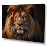 Lion Portrait - Lion Wall Decor