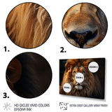 Lion Portrait - Lion Wall Decor