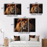 Lion Portrait - Lion Wall Decor