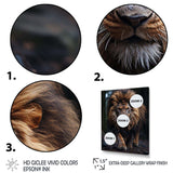 Black And White Lion Portrait Vibrant I - Animals Canvas Wall Art