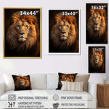 Lion Regal Majesty Lion - Animals Canvas Wall Art