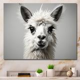 Grey Llama Gentle Llama - Llama Canvas Wall Art
