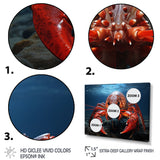 Coral Teal Lobster Grace - Coral Lobster Wall Art