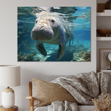 Turquoise Grey Manatee Majesty - Manatee Bedroom Wall Art