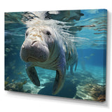 Turquoise Grey Manatee Majesty - Manatee Bedroom Wall Art