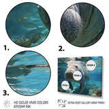 Turquoise Grey Manatee Majesty - Manatee Bedroom Wall Art