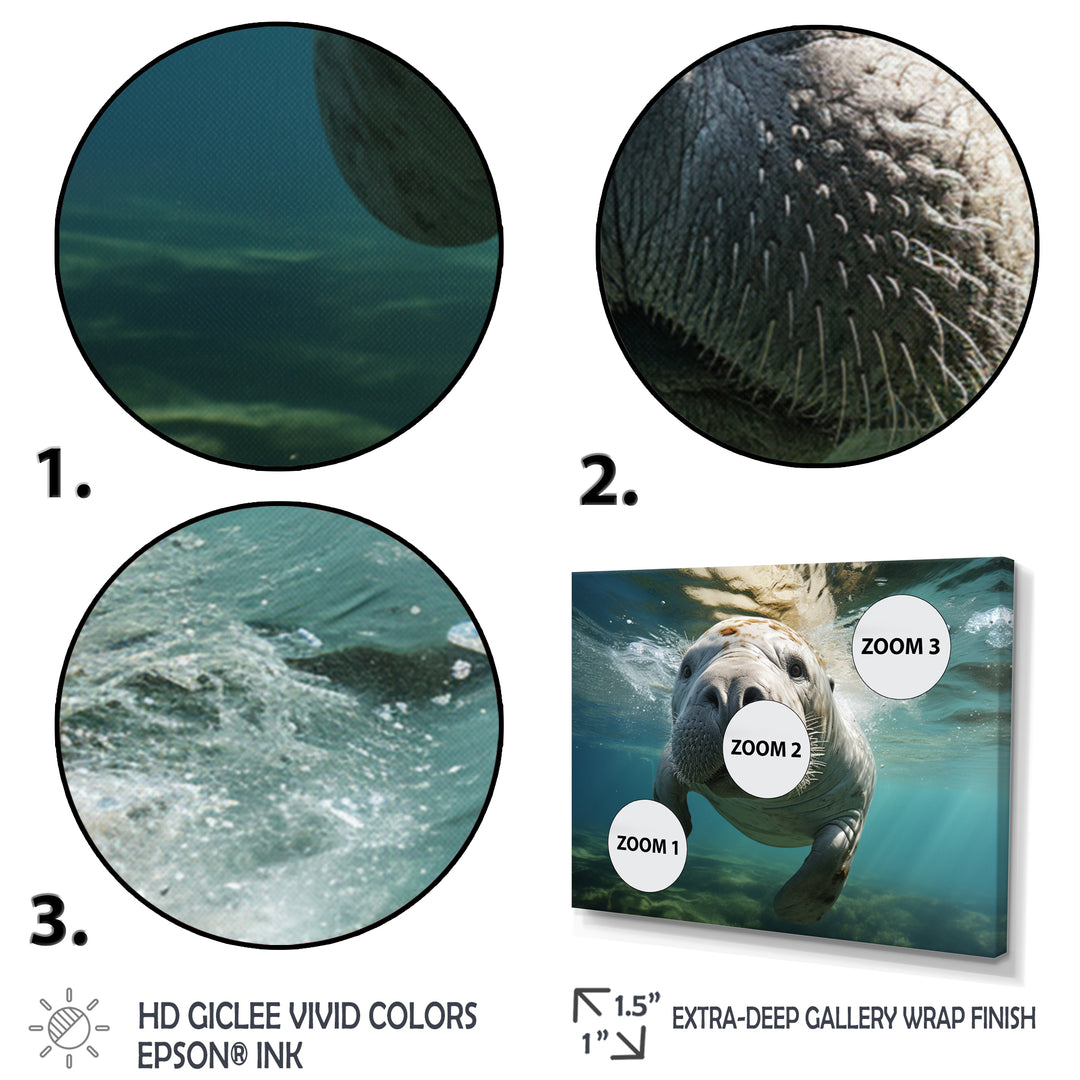 Turquoise Grey Manatee Portrait - Manatee Canvas Wall Art