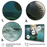 Turquoise Grey Manatee Portrait - Manatee Canvas Wall Art