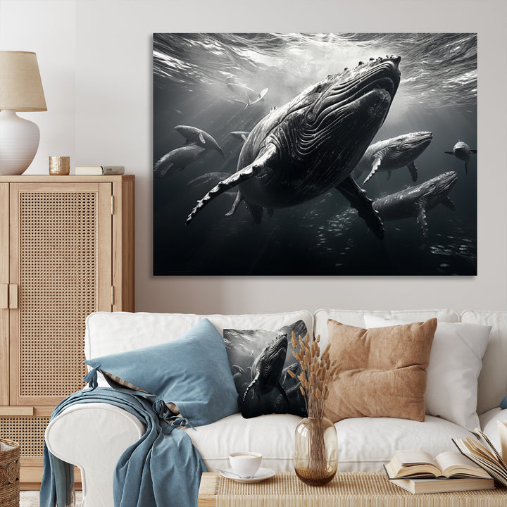 Grey Marine Animals Graceful Giants - Marine Animals Wall Art Prints