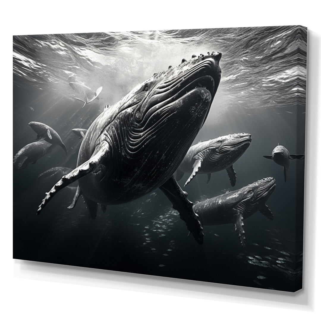 Grey Marine Animals Graceful Giants - Marine Animals Wall Art Prints