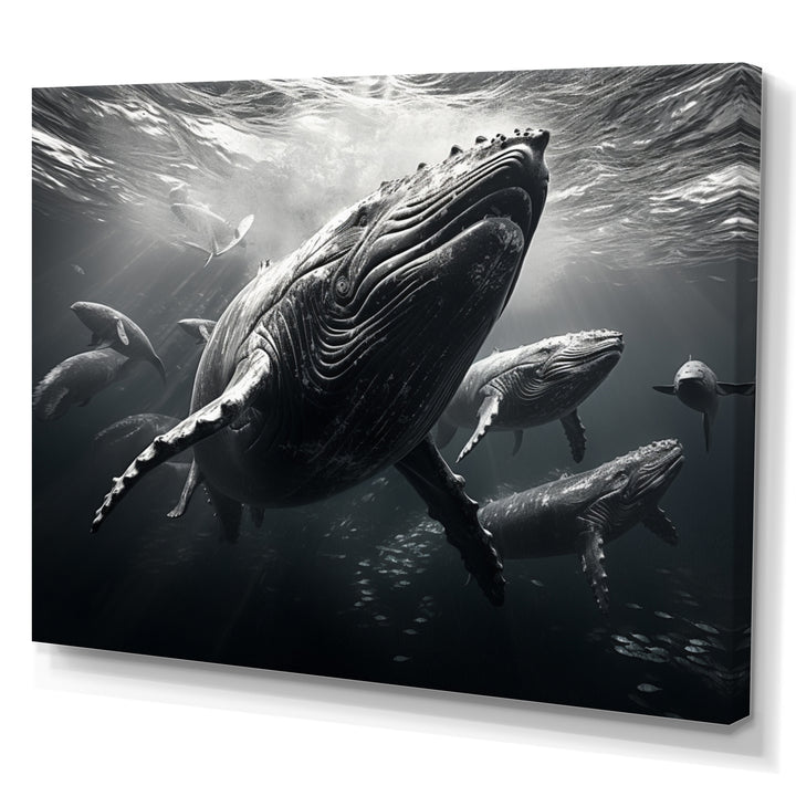 Grey Marine Animals Graceful Giants - Marine Animals Wall Art Prints