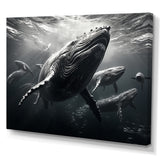 Grey Marine Animals Graceful Giants - Marine Animals Wall Art Prints