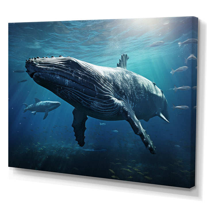 Blue Marine Animals Graceful Giants - Marine Animals Wall Art Prints