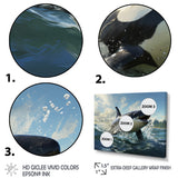 White Black Marine Animals Majestic Orcas - Marine Animals Bedroom Wall Art