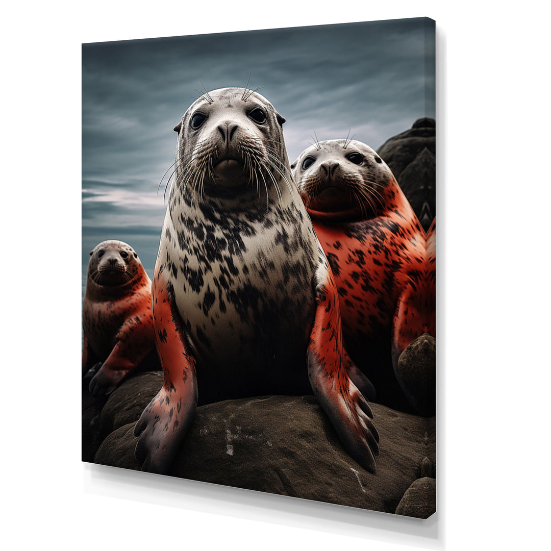 Grey Red Seal Silent Guardians - Marine Animals Large Canvas Wall Art