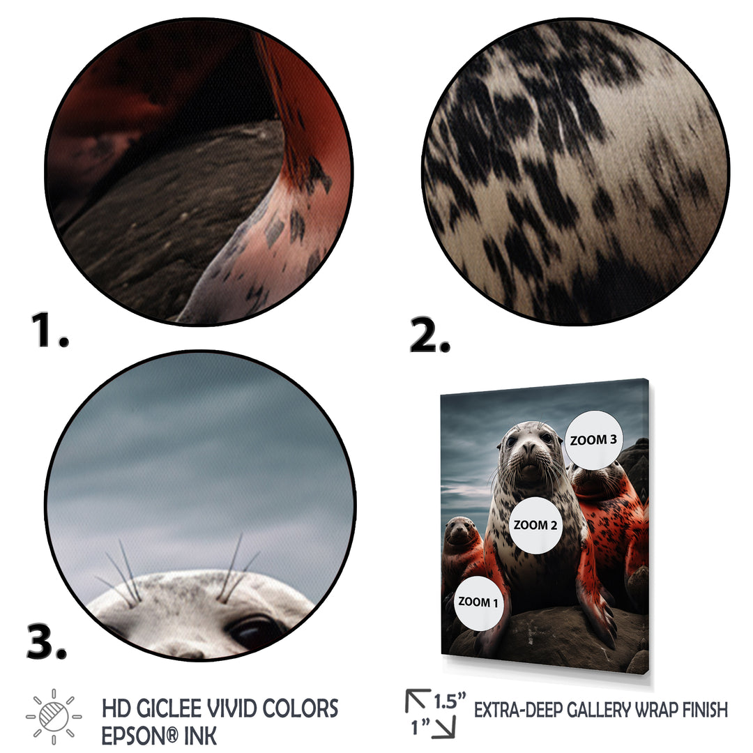 Grey Red Seal Silent Guardians - Marine Animals Large Canvas Wall Art