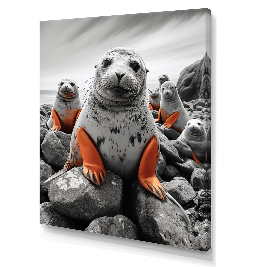 Grey Coral Seal Silent Guardians - Marine Animals Home Decor Art