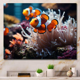 Orange Pink Clownfish Silent Underwater - Animals Canvas Wall Art