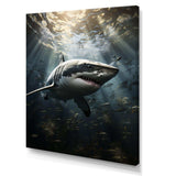 Grey Shark The Majesty - Animals Canvas Wall Art