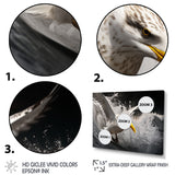 Grey Yellow Seagull Surfing On Waves - Marine Animals Wall Decor