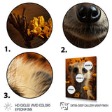 Orange Brown Meercat Animal - Meercat Wall Art Prints