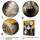 Yellow Brown Meercat Curious Meercat - Yellow Meercat Wall Art