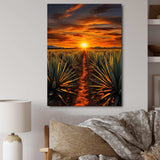 Orange Green Mexican Art Tequila Sunrise - People Canvas Wall Art