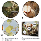 Green Brown Monkey Mischievous Monkey Pastoral - Monkey Living Room Wall Art