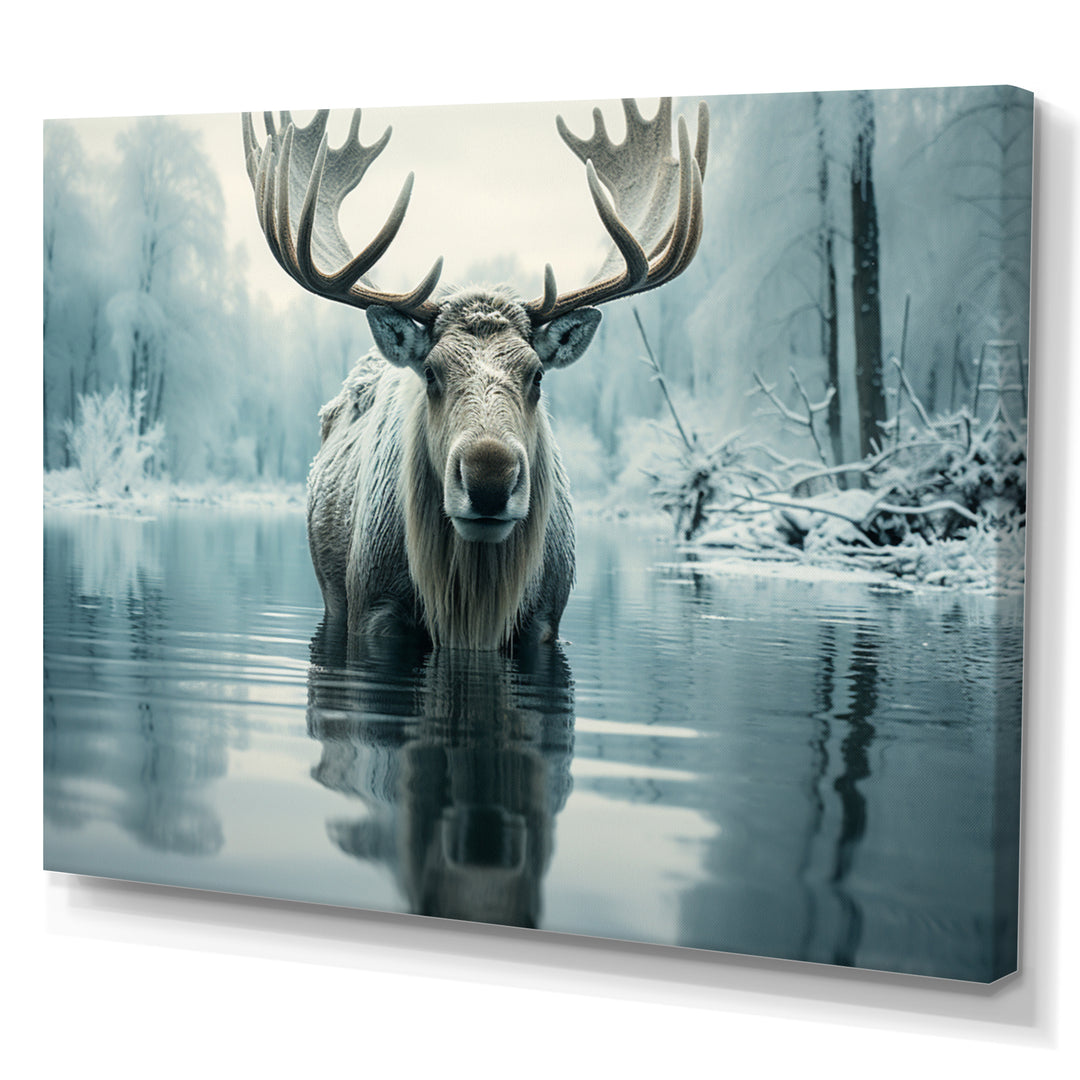 Blue Moose Arctic Reflection - Moose Canvas Wall Art